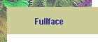 Fullface