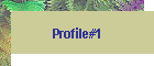 Profile#1