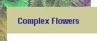 Complex Flowers