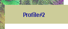 Profile#2